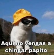 Brian Parra